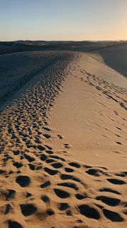 GC-Dunas de Maspalomas sunset 2026-096.jpg